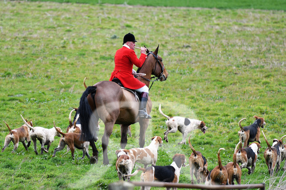Woodland Pytchley Hunt Final Day part 1 573