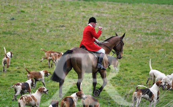Woodland Pytchley Hunt Final Day part 1 574