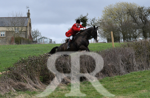 Woodland Pytchley Hunt Final Day part 1 591