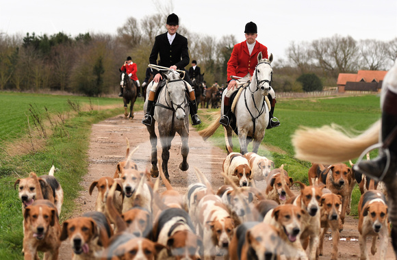 Woodland Pytchley Hunt Final Day part 1 797
