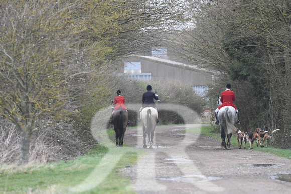 Woodland Pytchley Hunt Final Day part 1 893