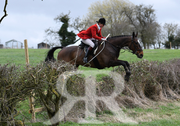 Woodland Pytchley Hunt Final Day part 1 587