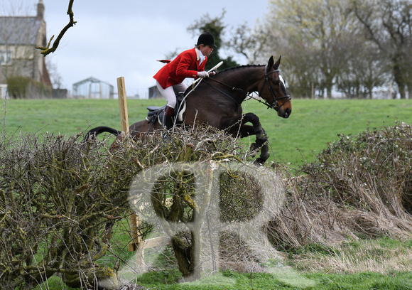 Woodland Pytchley Hunt Final Day part 1 586