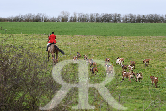 Woodland Pytchley Hunt Final Day part 1 582