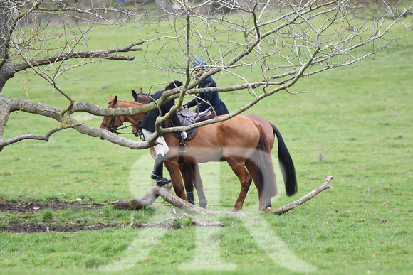 Woodland Pytchley Hunt Final Day part 1 349