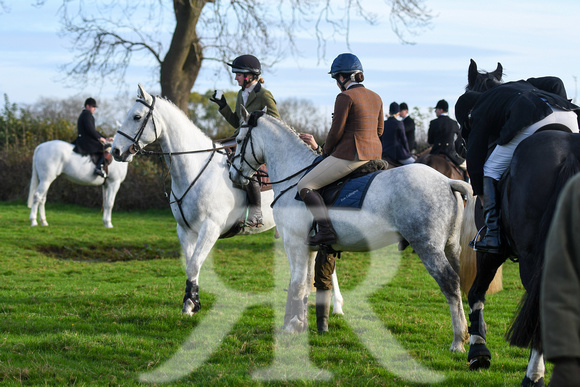 Fernie at Stresa Glebe Farm 2024 008