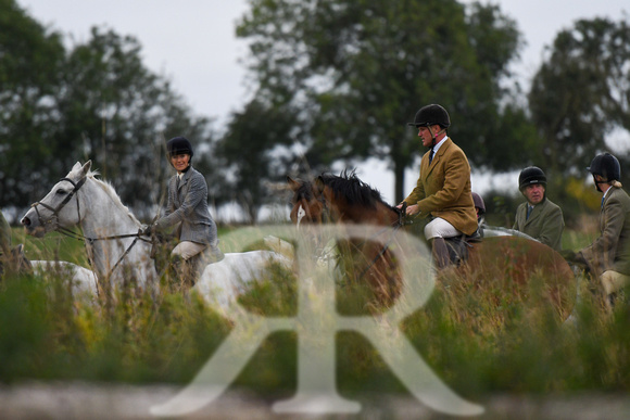 Fernie Autumn Hound Training at Hill Farm Gumley and Goffe Cave Farm Hallaton 2024 038