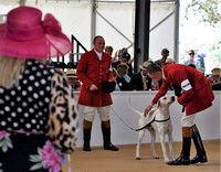 Peterborough Festival of Hunting 2022 016