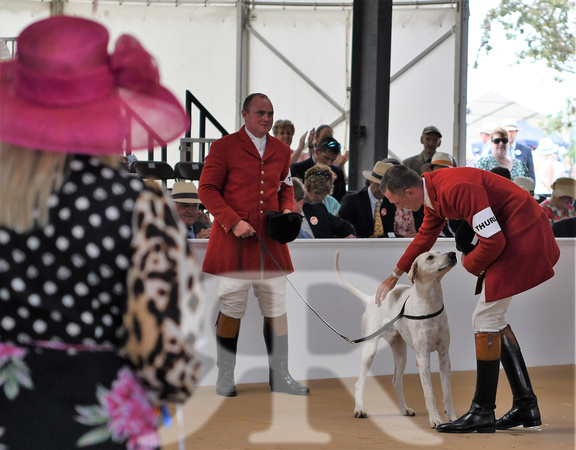 Peterborough Festival of Hunting 2022 016