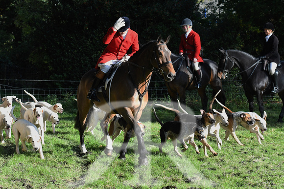 Quorn at Woodhouse Eaves opening meet 2019 018