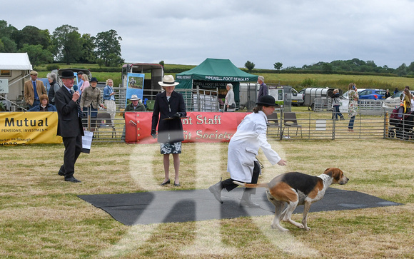 Blaston Hound show Winners & Young Handlers 2024 167