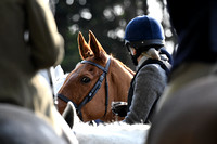 Fernie at Fox , Hallaton 2019 004