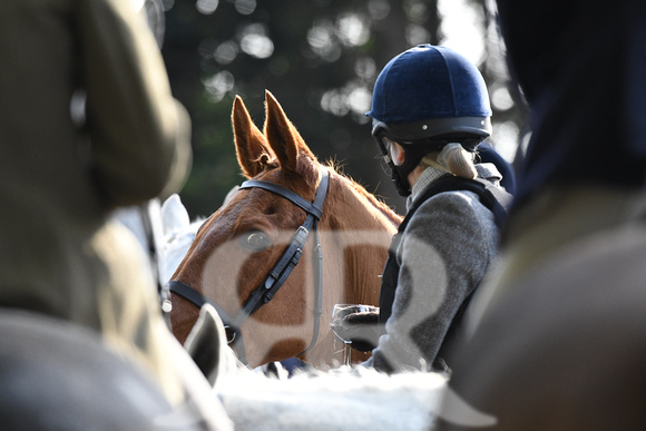 Fernie at Fox , Hallaton 2019 004