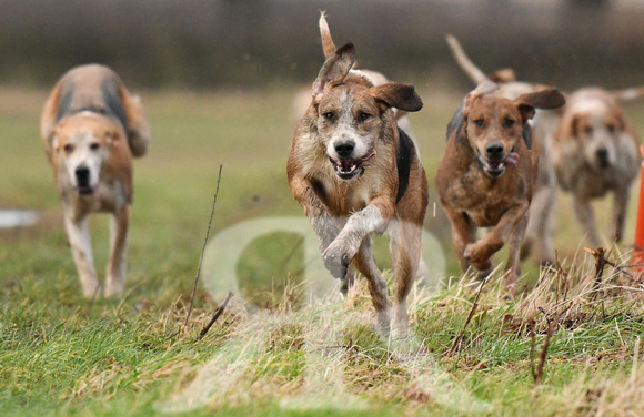 Cambridge Drag Hounds at Mill Farm Marston Trussell 2022 447