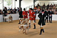 Peterborough Festival of Hunting 2022 031