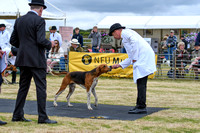 Blaston Hound Show 2024 009