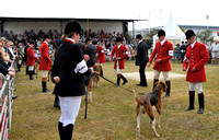 Peterborough Festival of Hunting 2022 042