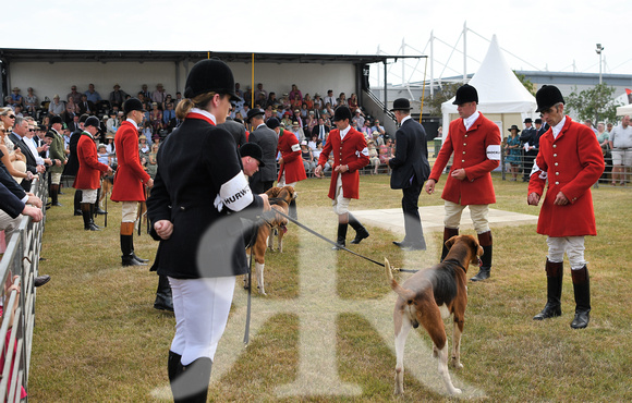 Peterborough Festival of Hunting 2022 042