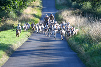 Fernie Hound Exercise 2024 086