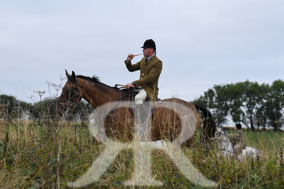 Fernie Autumn Hound Training at Hill Farm Gumley and Goffe Cave Farm Hallaton 2024 024