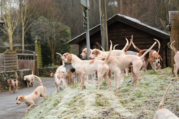 North Hereford Hunt 057