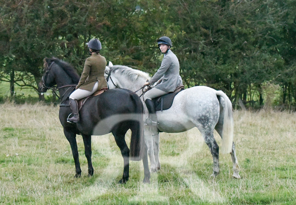 Fernie Autumn Hound Training at Hill Farm Gumley and Goffe Cave Farm Hallaton 2024 004