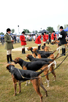 Peterborough Festival of Hunting 2022 040