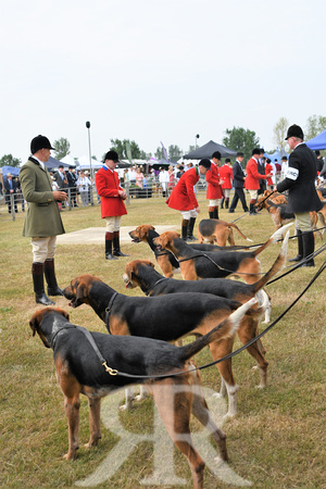 Peterborough Festival of Hunting 2022 040