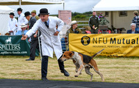 Blaston Hound Show 2024 023