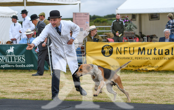 Blaston Hound Show 2024 023