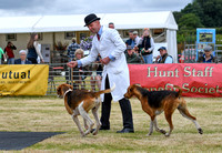 Blaston Hound Show 2024 018