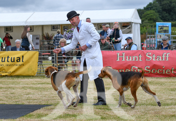 Blaston Hound Show 2024 018