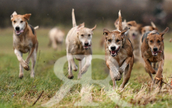 Cambridge Drag Hounds at Mill Farm Marston Trussell 2022 443