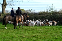 Fernie at Stresa Glebe Farm 2024 009