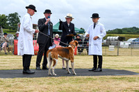 Blaston Hound show Winners & Young Handlers 2024 159