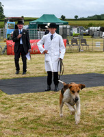 Blaston Hound show Winners & Young Handlers 2024 166