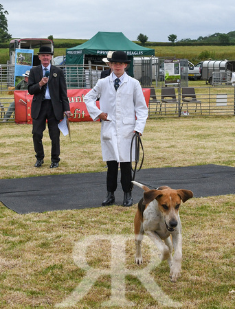 Blaston Hound show Winners & Young Handlers 2024 166