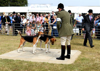 Peterborough Festival of Hunting 2022 036