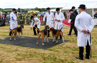 Blaston Hound show Winners & Young Handlers 2024 046