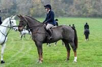 Fernie at Thornhill Farm 2024 012