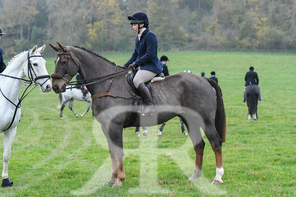 Fernie at Thornhill Farm 2024 012