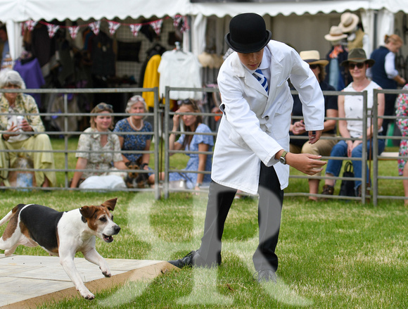 Peterborough Hound Show 2024 264