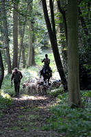 Fernie Autumn Hunting at Gumley 2019 028