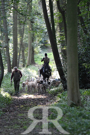 Fernie Autumn Hunting at Gumley 2019 028