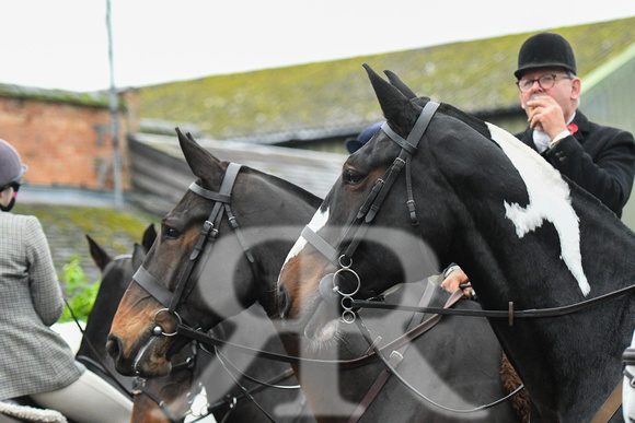 Fernie at Tur Langton Manor 2024 012