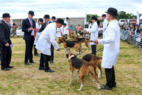 Blaston Hound show Winners & Young Handlers 2024 004