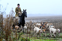 Fernie Hound Training 2024 At Peatling Magna & Colonels Spinney 022