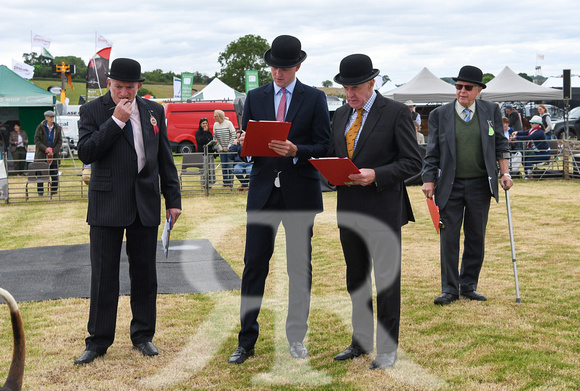 Blaston Hound show Winners & Young Handlers 2024 011