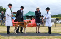 Blaston Hound show Winners & Young Handlers 2024 161