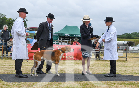 Blaston Hound show Winners & Young Handlers 2024 161